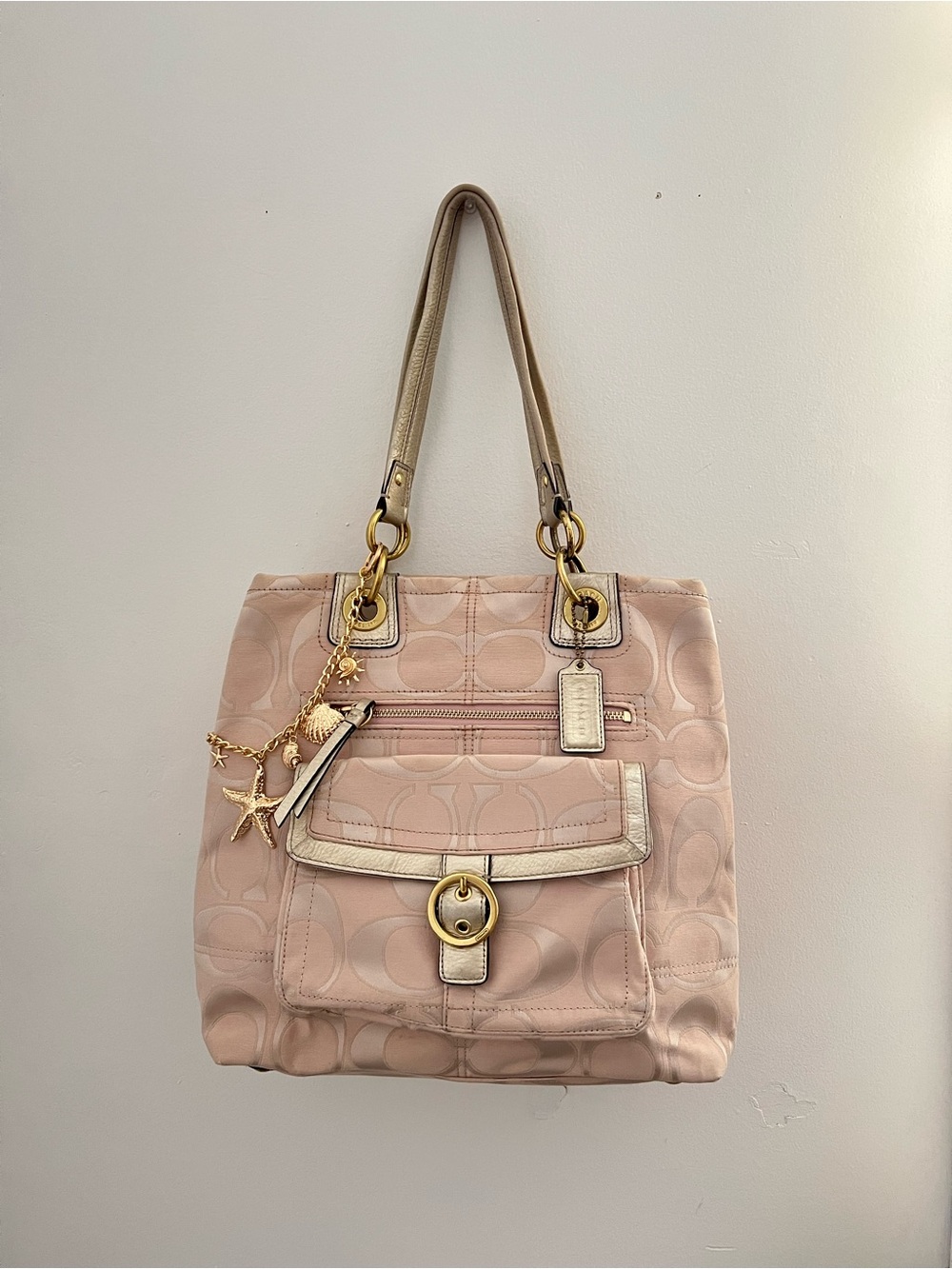 Coach Signature Canvas Tote in Pale Blush with Gold Hardware
